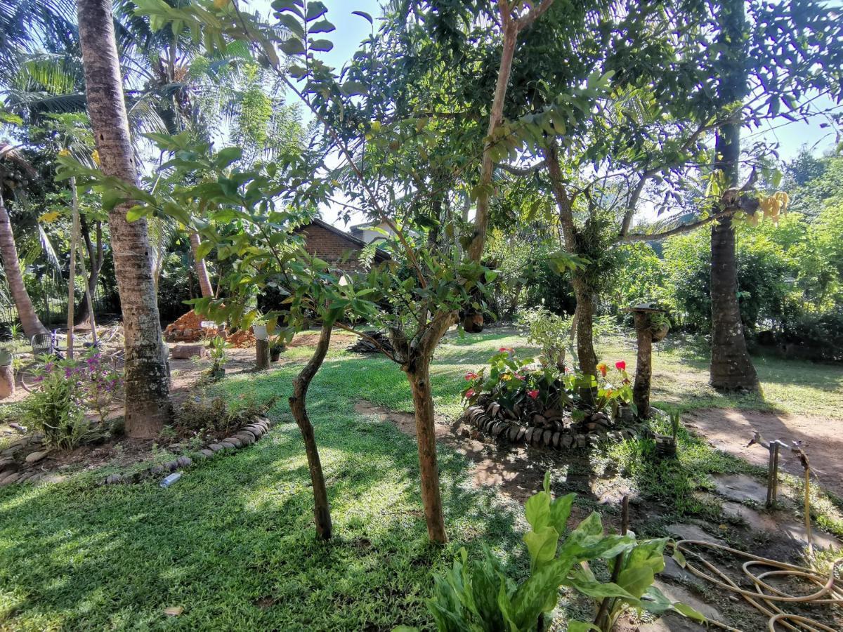 Mango Shade Weligama Daire Dış mekan fotoğraf