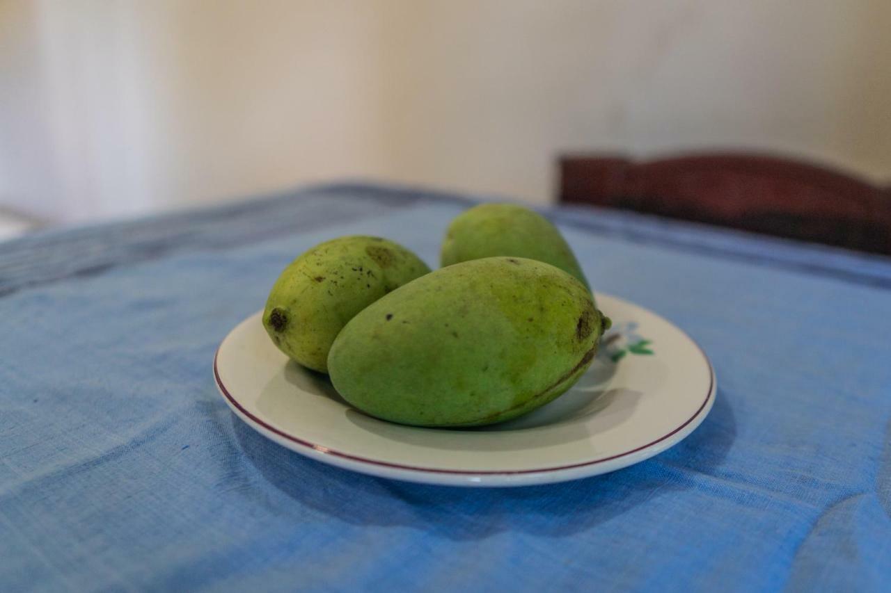 Mango Shade Weligama Daire Dış mekan fotoğraf